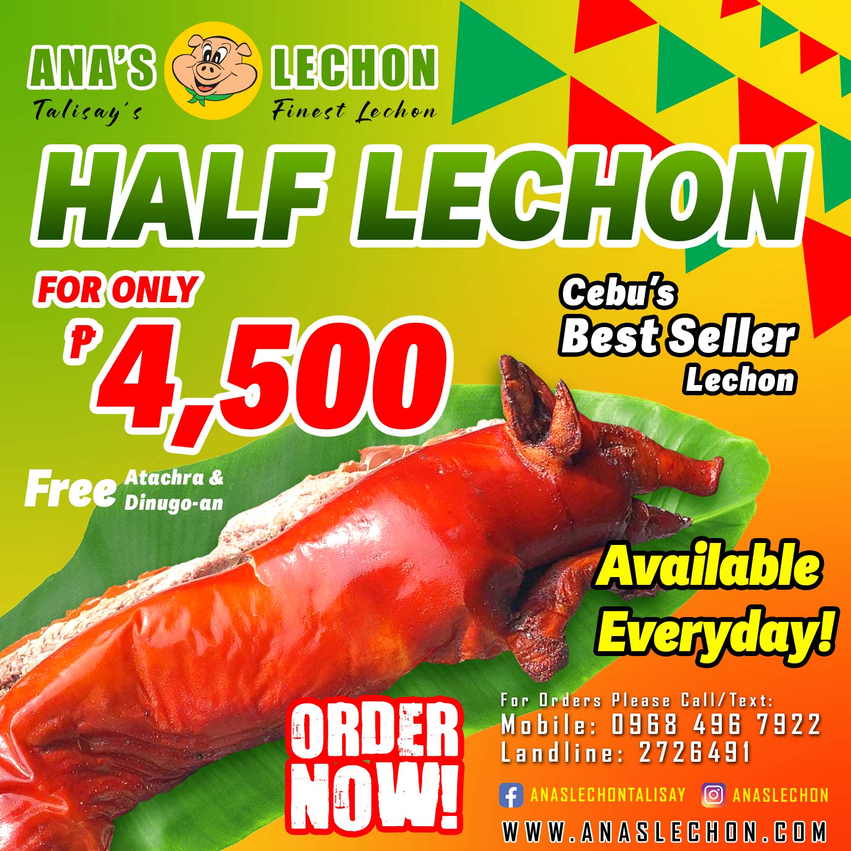 anashalflechon-fb-videoadmay2025_web